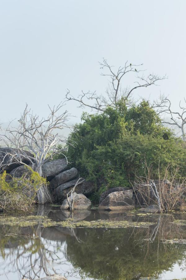 Koragaha Lodge - Yala Tissamaharama Kültér fotó