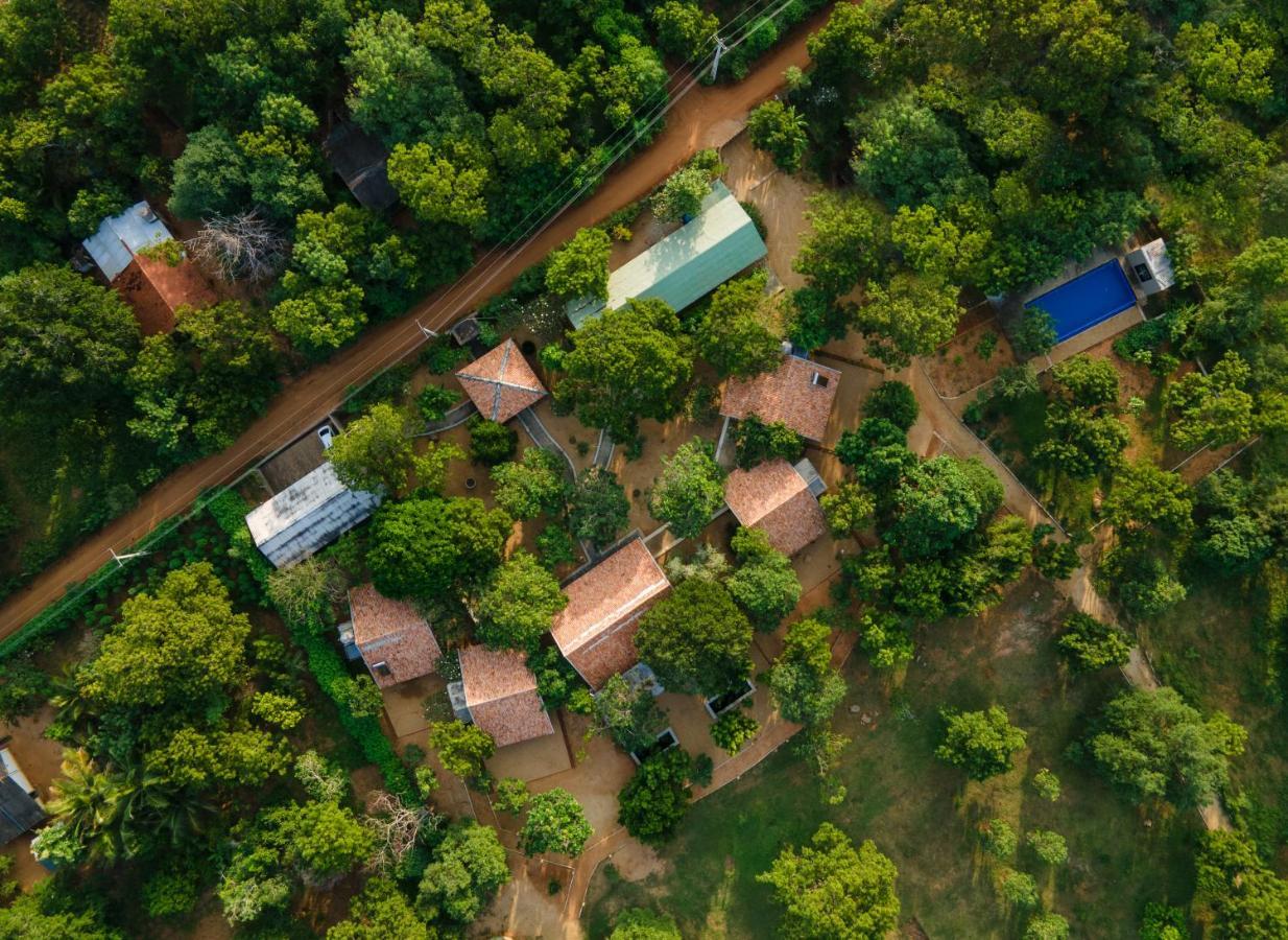 Koragaha Lodge - Yala Tissamaharama Kültér fotó
