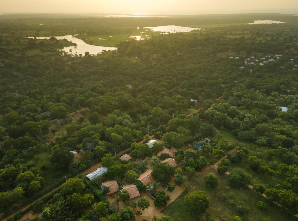 Koragaha Lodge - Yala Tissamaharama Kültér fotó